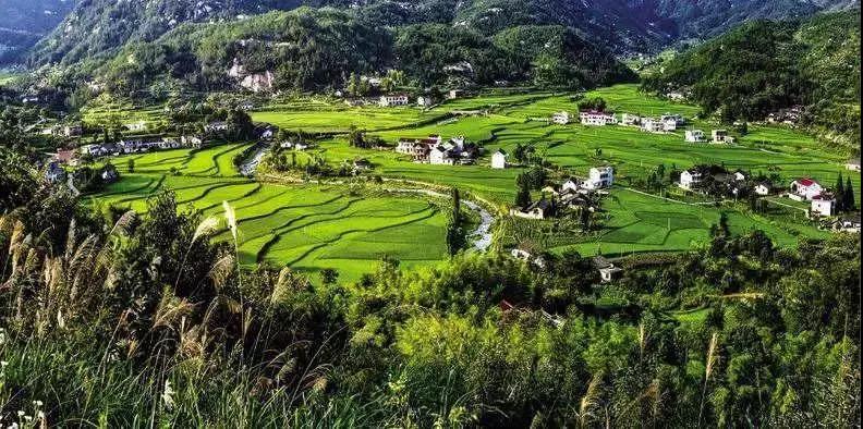 農(nóng)旅康養(yǎng)旅游項(xiàng)目，策劃才是靈魂！